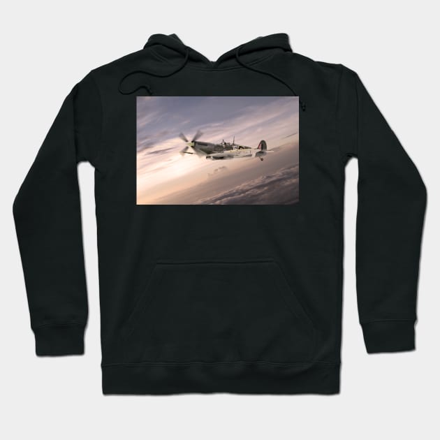 Fighting Grace Hoodie by aviationart